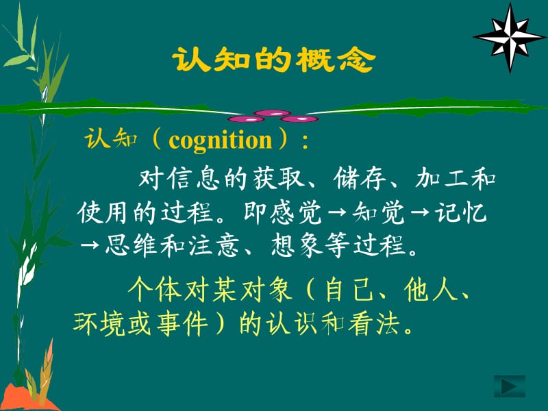 张俐(讲座)认知心理治疗.ppt_第3页