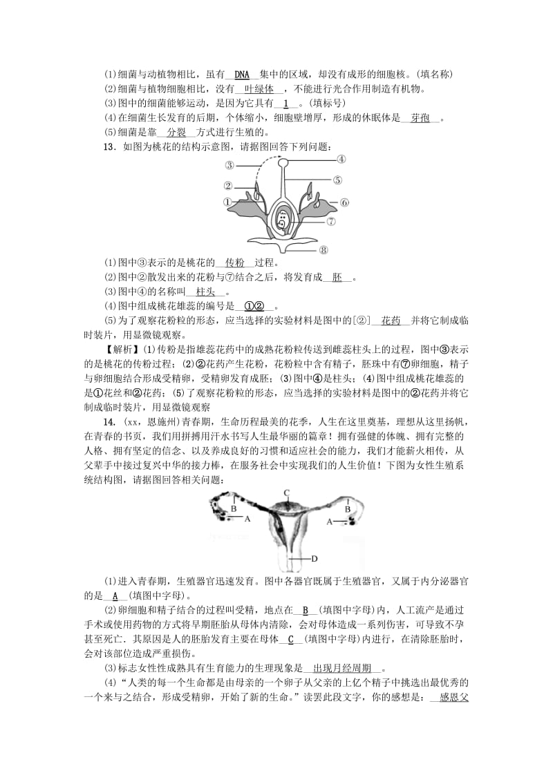 2019-2020年中考科学总复习第一部分考点聚焦第6讲代代相传的生命试题.doc_第3页