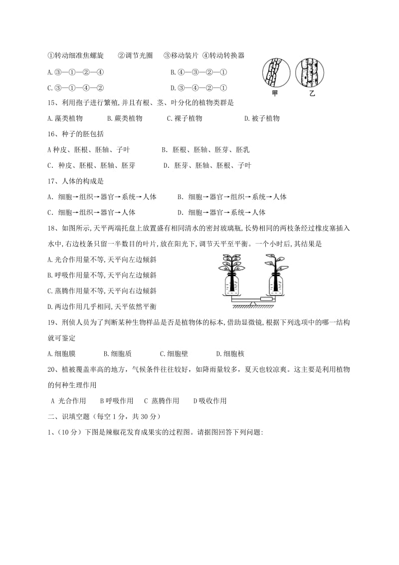 2019-2020年七年级生物上学期期末试题(I).doc_第3页