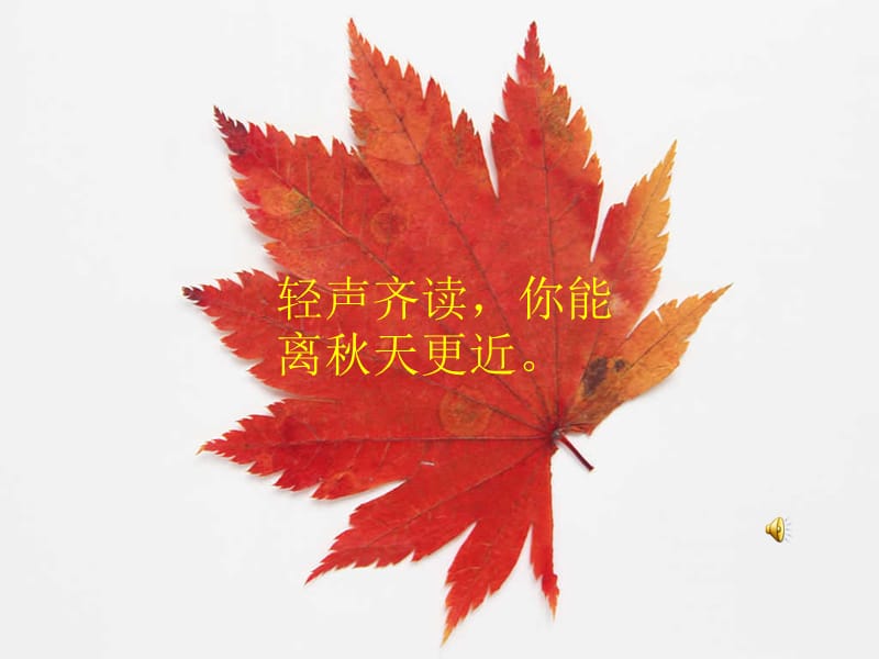 《听听秋的声音》教学.ppt_第3页