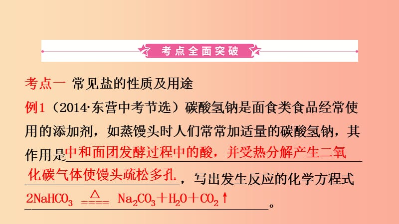 山东省东营市2019年初中化学学业水平考试总复习 第十一单元 盐 化肥课件.ppt_第2页