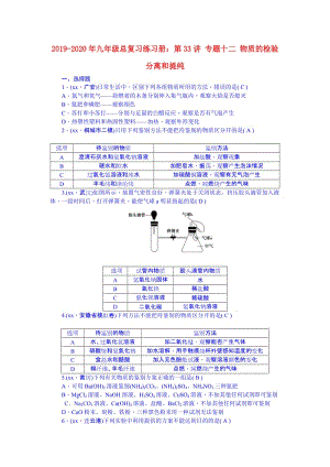 2019-2020年九年級(jí)總復(fù)習(xí)練習(xí)冊(cè)：第33講 專(zhuān)題十二 物質(zhì)的檢驗(yàn) 分離和提純.doc