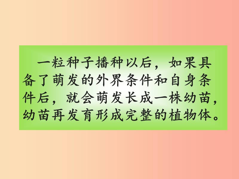 广东省汕头市七年级生物上册 3.2.2植株的生长课件 新人教版.ppt_第1页