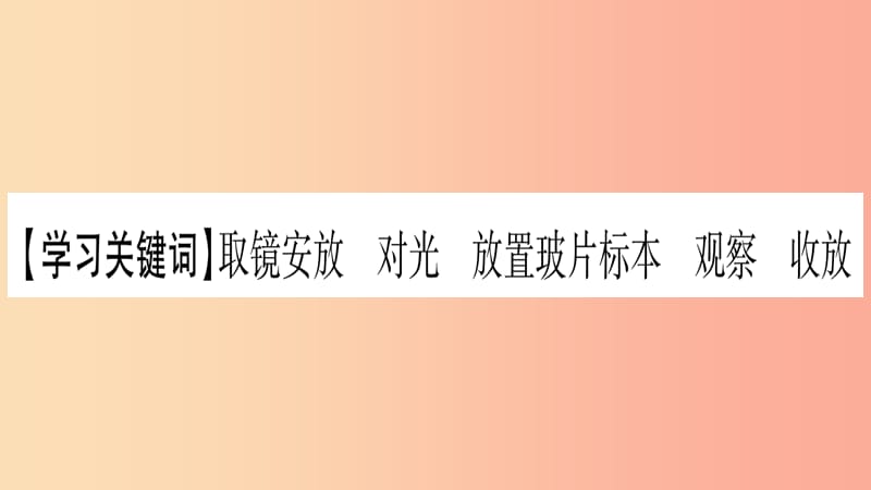 2019秋七年级生物上册第二单元第3章第1节细胞的基本结构和功能第1课时习题课件（新版）北师大版.ppt_第2页