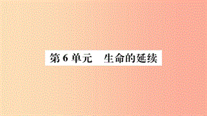 廣西省玉林市2019年八年級生物上冊 第6單元 第19章 第1節(jié) 人的生殖與發(fā)育（第1課時）課件（新版）北師大版.ppt