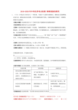 2019-2020年中考化學考點拓展 特殊現(xiàn)象的探究.doc