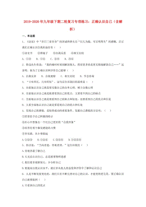 2019-2020年九年級(jí)下期二輪復(fù)習(xí)專項(xiàng)練習(xí)：正確認(rèn)識(shí)自己（含解析）.doc