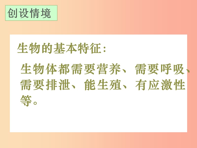 2019年七年级生物上册 2.2.4《单细胞生物》课件1 新人教版.ppt_第2页