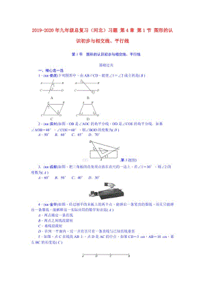 2019-2020年九年級(jí)總復(fù)習(xí)（河北）習(xí)題 第4章 第1節(jié) 圖形的認(rèn)識(shí)初步與相交線、平行線.doc