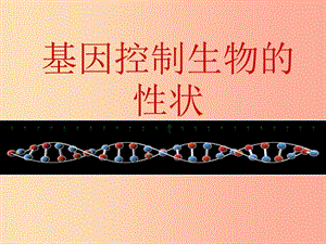 河南省八年級生物下冊 7.2.1基因控制生物的性狀課件 新人教版.ppt