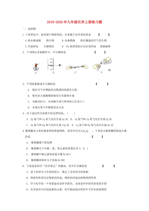 2019-2020年九年級(jí)化學(xué)上冊(cè)練習(xí)題.doc