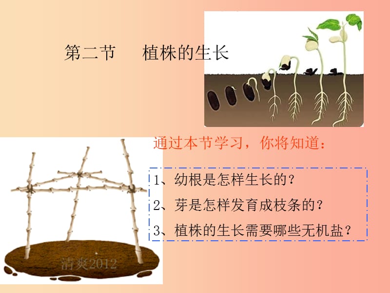 2019年七年级生物上册3.2.2植株的生长课件2 新人教版.ppt_第1页