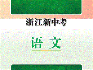 浙江省2019中考語文 自主讀背復習手冊 名著（復習目標 熟讀記憶）課件.ppt