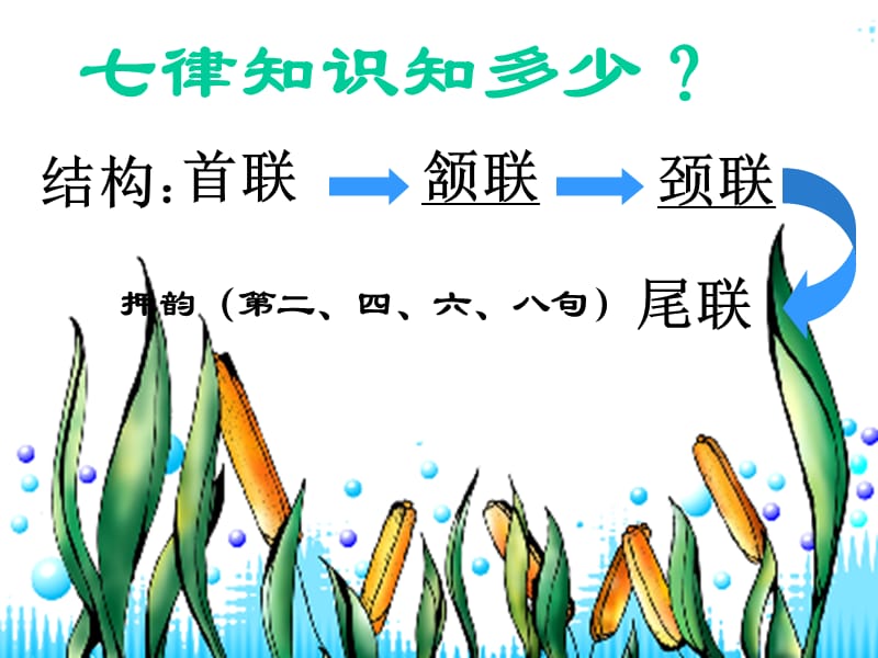 律-长征-教学课件-PPT .ppt_第3页