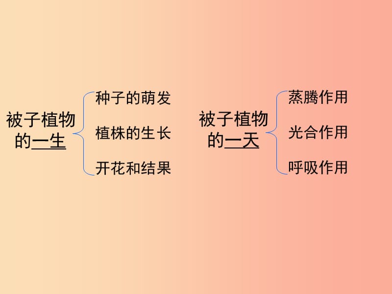 广东省汕头市七年级生物上册 3.3.1绿色植物与生物圈的水循环课件 新人教版.ppt_第1页