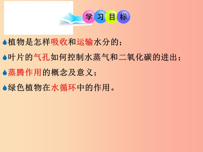 广东省汕头市七年级生物上册 3.3.1绿色植物与生物圈的水循环课件 新人教版.ppt_第3页