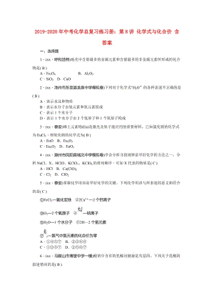 2019-2020年中考化學(xué)總復(fù)習(xí)練習(xí)冊：第8講 化學(xué)式與化合價 含答案.doc