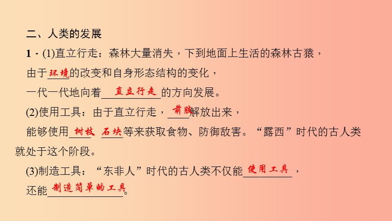 七年级生物下册 第四单元 第一章 第一节 人类的起源和发展习题课件 新人教版.ppt_第3页