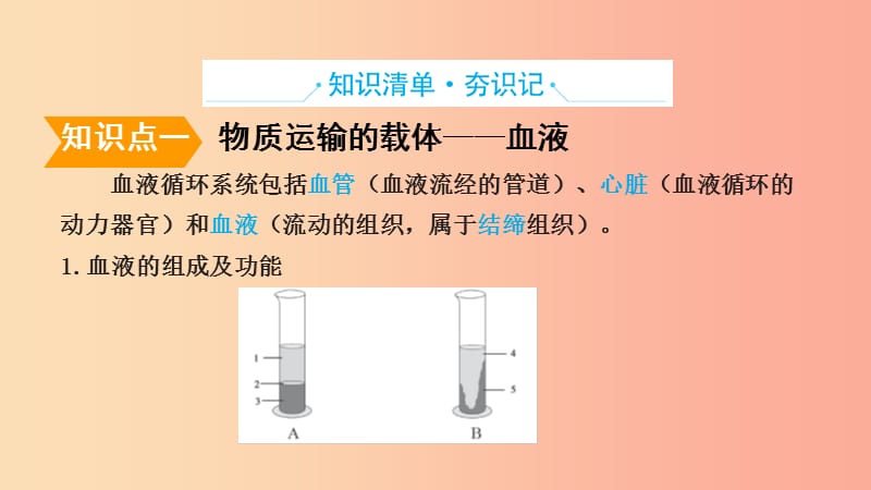 山东省2019年中考生物 主题复习八 人体内的物质运输课件 济南版.ppt_第2页