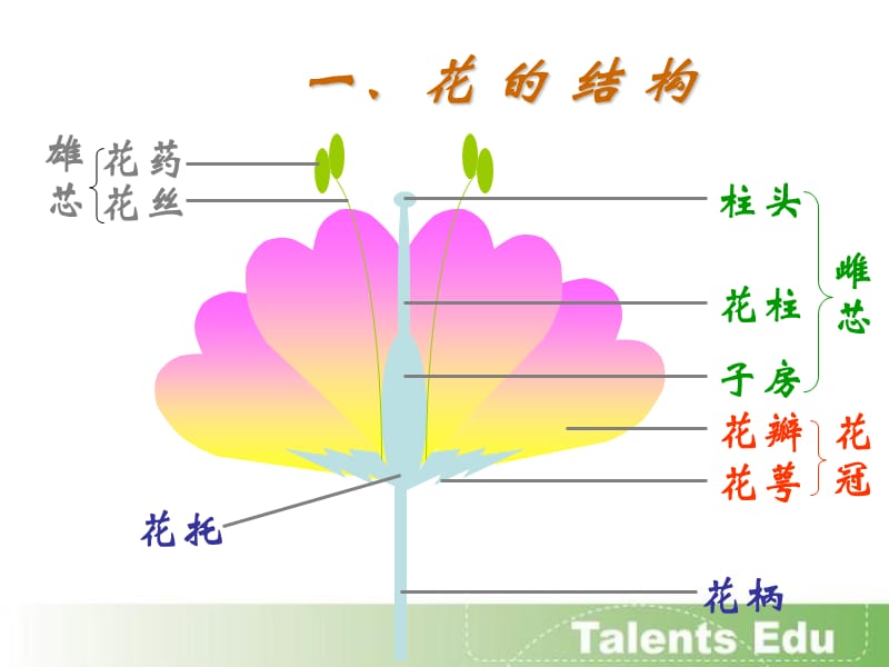 初三生物串讲第3册(北京).ppt_第3页