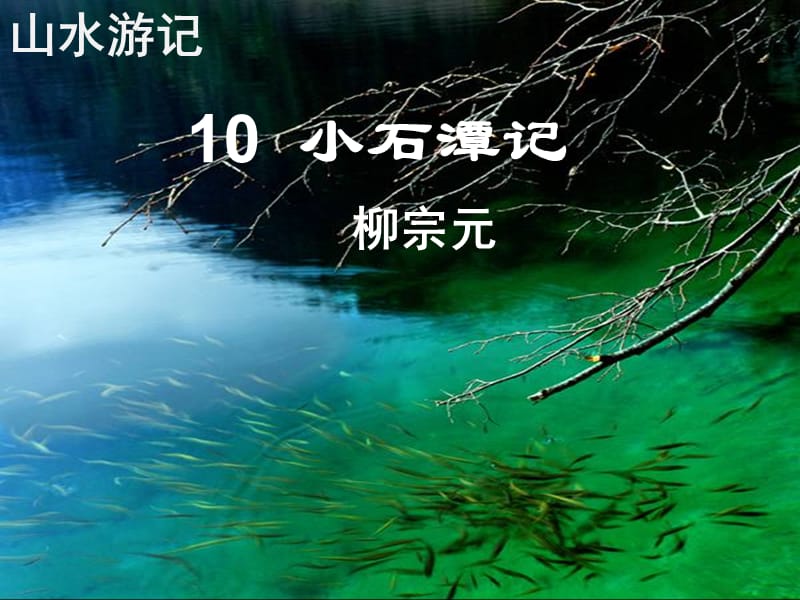 广东省廉江市八年级语文下册 第三单元 10 小石潭记课件 新人教版.ppt_第2页