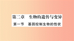 2019年八年級生物下冊 7.2.1 基因控制生物的性狀課件 新人教版.ppt