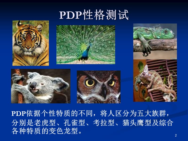 DP性格测试(老虎、考拉、孔雀、猫头鹰、变色龙).ppt_第2页