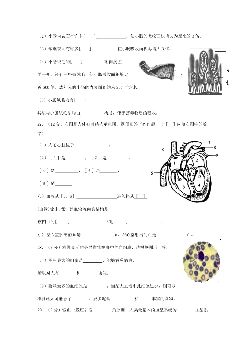 2019-2020年七年级生物下学期第一次阶段性测试试题 北师大版.doc_第3页