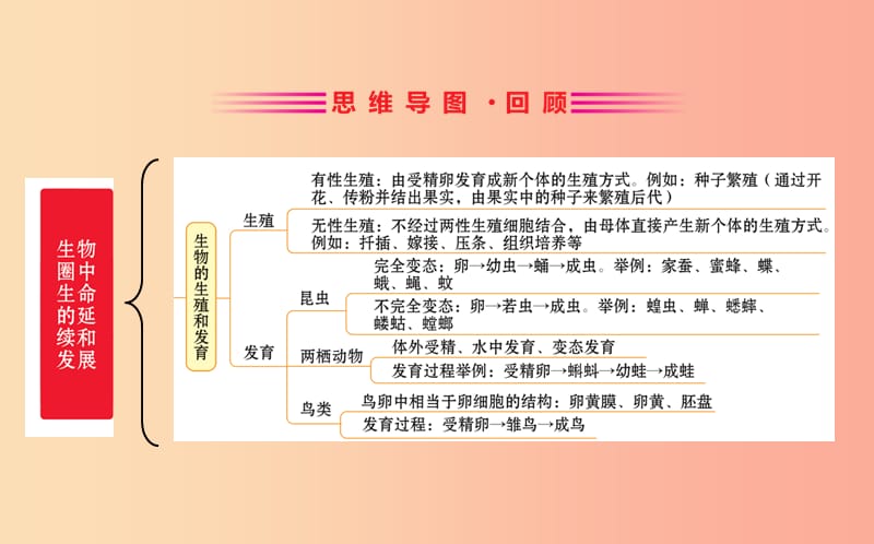 2019版八年级生物下册 期末抢分必胜课 第一部分 第七单元课件 新人教版.ppt_第2页