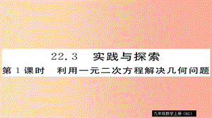 九年級(jí)數(shù)學(xué)上冊(cè) 第22章 一元二次方程 22.3 第1課時(shí) 利用一元二次方程解決幾何問(wèn)題習(xí)題課件 華東師大版.ppt