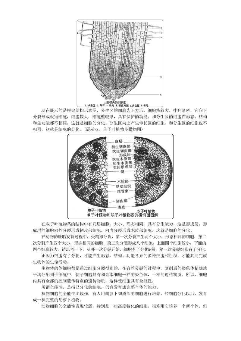 2019-2020年高二生物细胞的分化、癌变和衰老.doc_第2页