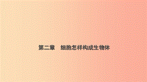 山東省2019年中考生物總復(fù)習(xí) 第二單元 生物體的結(jié)構(gòu)層次 第二章 細(xì)胞怎樣構(gòu)成生物體課件.ppt