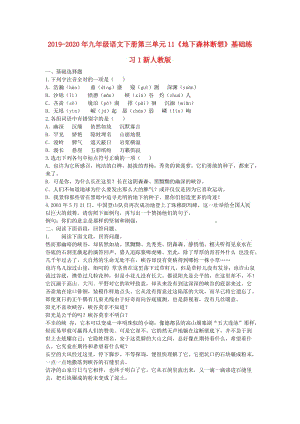 2019-2020年九年級(jí)語文下冊(cè)第三單元11《地下森林?jǐn)嘞搿坊A(chǔ)練習(xí)1新人教版.doc