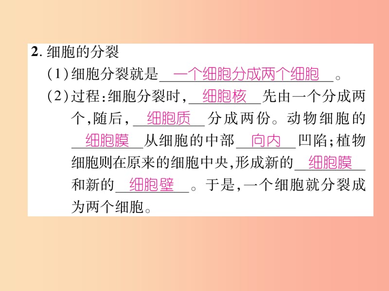 2019年七年级生物上册 2.2.1 细胞通过分裂产生新细胞习题课件 新人教版.ppt_第3页