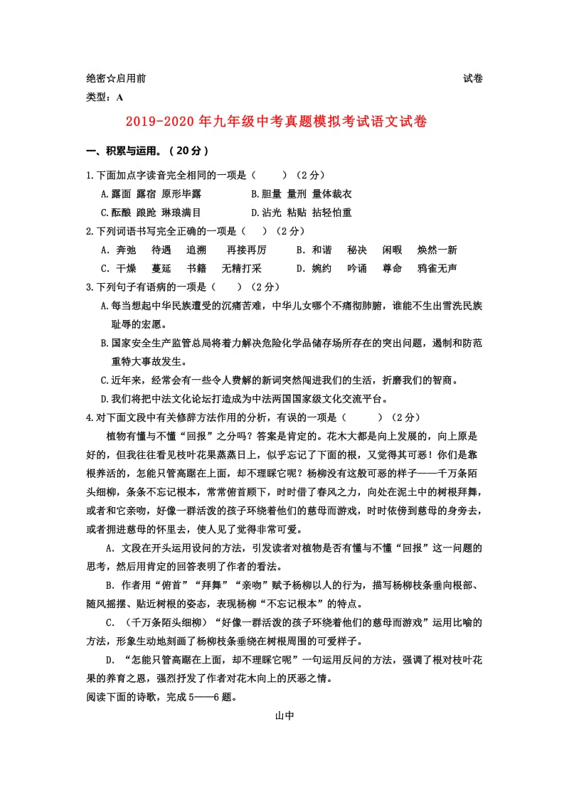 2019-2020年九年级中考真题模拟考试语文试卷.doc_第1页