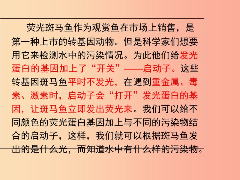 广东省揭阳市八年级生物下册 25.2 现代生物技术课件（新版）北师大版.ppt_第3页