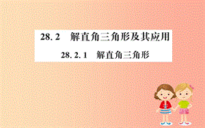 九年級數(shù)學(xué)下冊 第二十八章 銳角三角函數(shù) 28.2 解直角三角形及其應(yīng)用 28.2.1 解直角三角形訓(xùn)練 新人教版.ppt