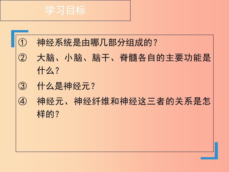 七年级生物下册 4.6.2《神经系统的组成》课件 新人教版.ppt_第3页