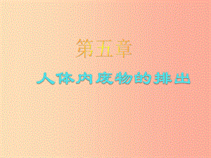 吉林省雙遼市七年級生物下冊 第四單元 第五章 人體內(nèi)廢物的排出課件 新人教版.ppt