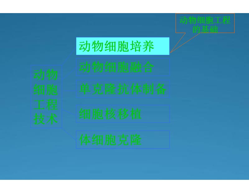 《动物细胞工程》课件(新人教版选修3).ppt_第3页