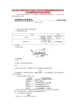 2019-2020年高考生物大一輪復(fù)習(xí) 第三單元 細(xì)胞的能量供應(yīng)和利用 第10講 能量之源-光與光合作用講義.doc