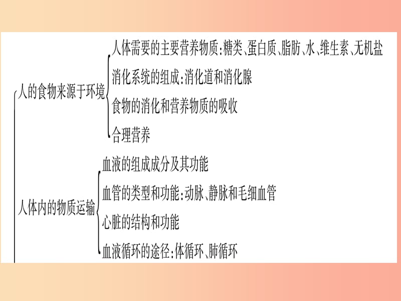 2019年中考生物 专题综合突破4 生物圈中的人复习课件 冀教版.ppt_第2页