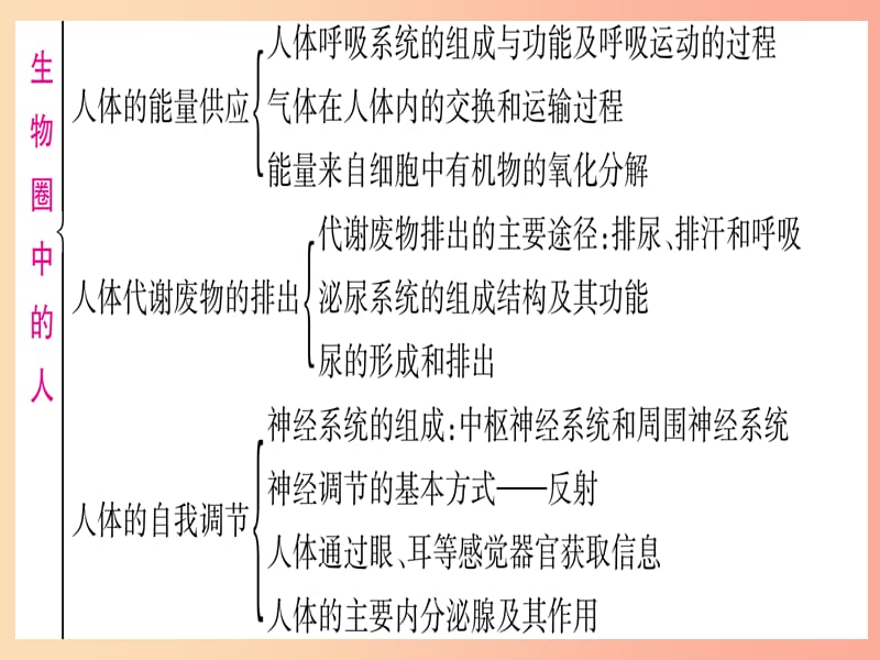 2019年中考生物 专题综合突破4 生物圈中的人复习课件 冀教版.ppt_第3页