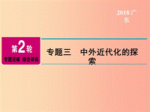 廣東省2019年中考?xì)v史總復(fù)習(xí) 第2輪 專題突破 綜合訓(xùn)練 專題三 中外近代化的探索課件.ppt