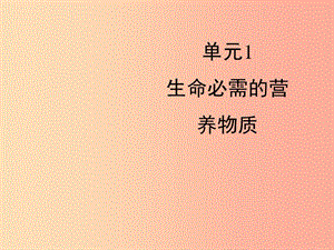 九年級化學(xué)下冊專題九化學(xué)與生活單元1生命必需的營養(yǎng)物質(zhì)課件新版湘教版.ppt