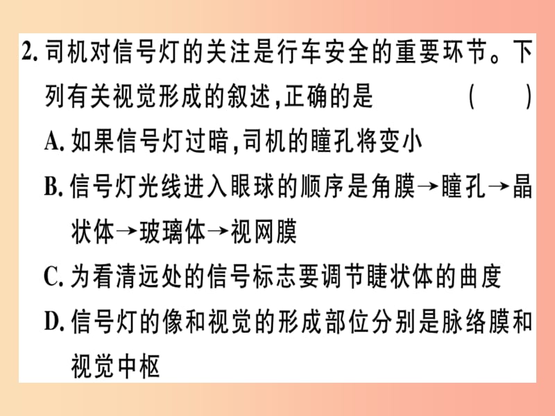 2019七年级生物下册 第四单元 第六章 人体生命活动的调节小结与复习习题课件 新人教版.ppt_第3页