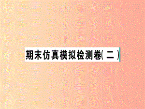 2019春七年級道德與法治下冊 期末仿真模擬檢測卷課件2 新人教版.ppt