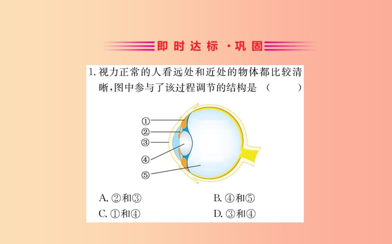 七年级生物下册 第四单元 生物圈中的人 第六章 人体生命活动的调节 1 人体对外界环境的感知训练 新人教版.ppt_第2页