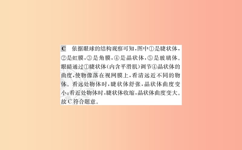 七年级生物下册 第四单元 生物圈中的人 第六章 人体生命活动的调节 1 人体对外界环境的感知训练 新人教版.ppt_第3页