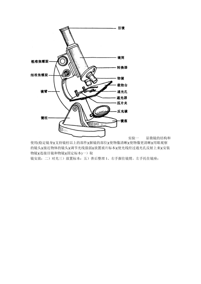 2019-2020年高考生物一轮复习 全套学案 新人教版必修1.doc_第3页